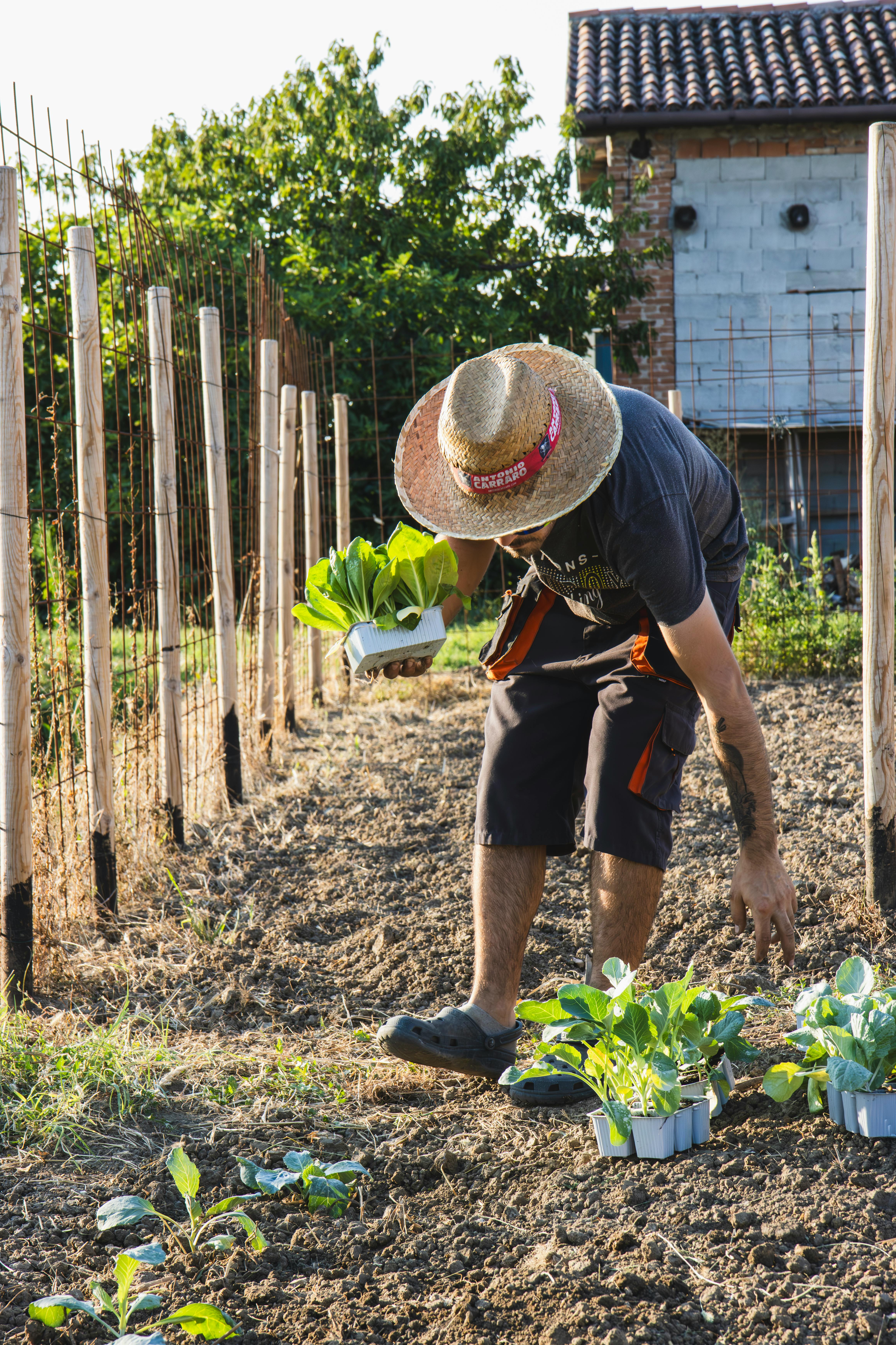 natural-&-organic-farming-partnership-program